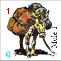 Mule 1