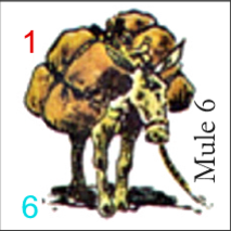 Mule 6